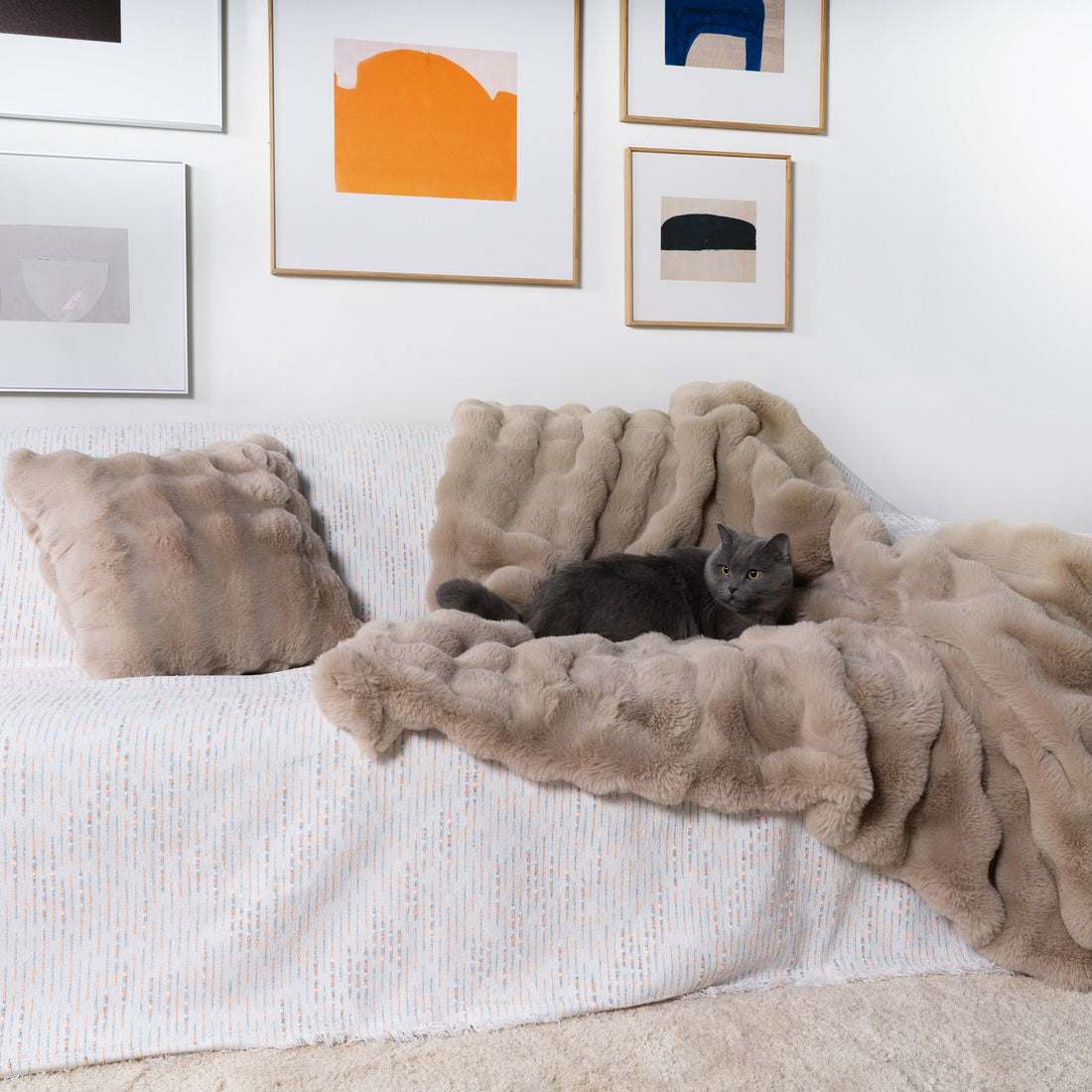 Faux Fur Throw & Pillow Cover Set