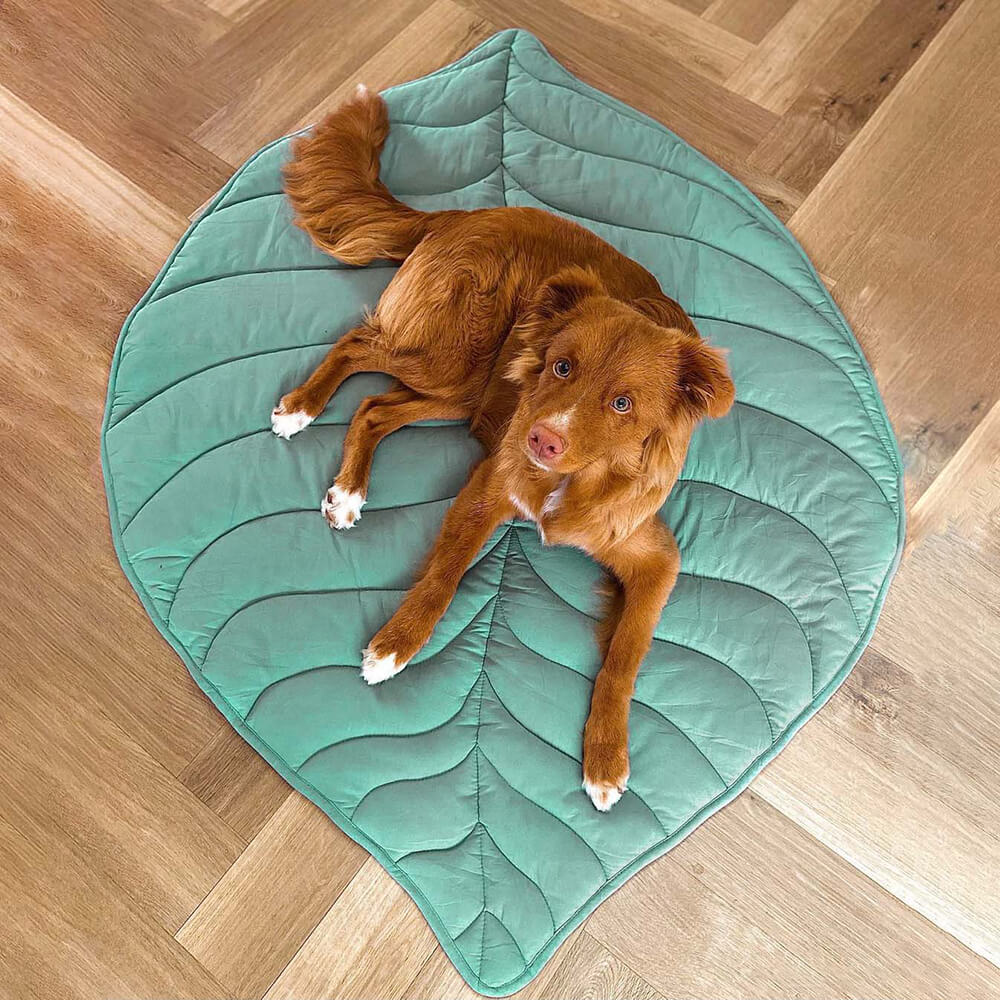 Leaf Shape Washable Dog Mat & Pet Blanket