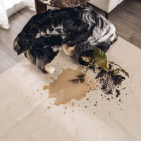 Spill-Resistant & Anti-Slip Sofa/Couch Cover for Pet Owners