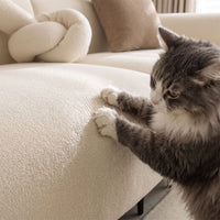 CloudNest Boucle Stretch Sofa Cover– Anti-Scratch, Full-Cover Pet Protector