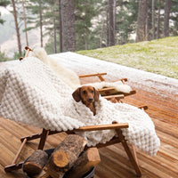 Cozy Chic Sofa Cover