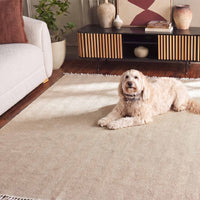 Soft Breathable Herringbone Pet-Friendly Multi-Purpose Minimalist Sofa Cover – Woven Throw Couch Protector