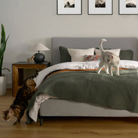 Quilt Set