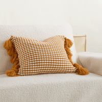 Tassel Charm Pillow Cover