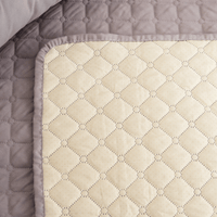 Spill-Resistant Sofa Cushion for Dog & Cats