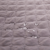 Spill-Resistant Sofa Cushion for Dog & Cats
