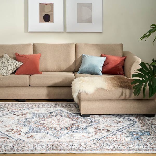 Easy Clean Rug Classic Boho Style Living Room Area Rug