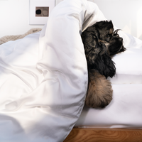 Bamboo Duvet Cover Set