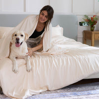 Bamboo Sheet Set & Duvet Cover