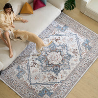 Easy Clean Rug Classic Boho Style Living Room Area Rug