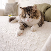 BreezeWoven Scratch-Resistant Summer Sofa/Couch Cover