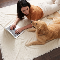 Soft Plush Multi-Purpose Sofa Protection Couch Cover Pet-Friendly Machine Washable Everyday Wear