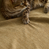 Durable Pet Friendly Herringbone Sofa/Couch Cover