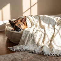 Sprinkled Speckles Sofa Cover