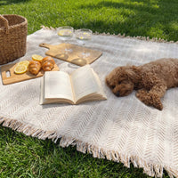 Anti-Scratch Washable Sofa Cover