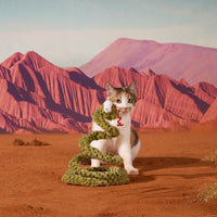 Forest Snake Cat Teaser