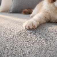 Spill-Resistant Sofa/Couch Cover for Pet Owners
