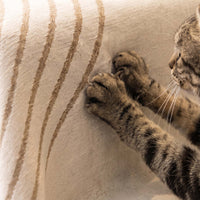 Reversible Comfort Sofa / Couch Cover