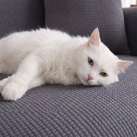 SoftShield Stretch Sofa Slipcover