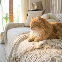 Luxe Heritage Chenille Sofa Cover