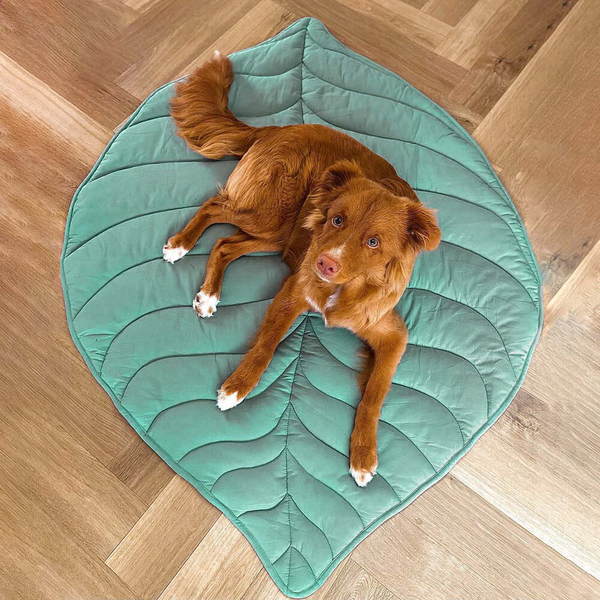 Leaf Shape Washable Dog Mat & Pet Blanket
