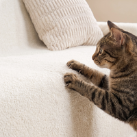 Soft Plush Multi-Purpose Sofa Protection Couch Cover Pet-Friendly Machine Washable Everyday Wear