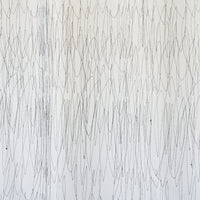 Scribble Stream Embroidered Sheer Curtain