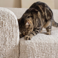 Luxury Sculpted Guard Stretch Sofa Cover– Anti-Scratch, Full-Cover Pet Protector