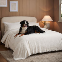 Soft Plush Multi-Purpose Sofa Protection Couch Cover Pet-Friendly Machine Washable Everyday Wear