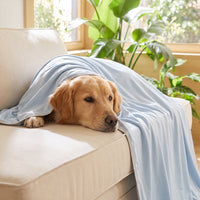 Bamboo Cooling Summer Bed Throw Blanket