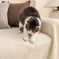 Ribbed Stripe Spill-Resistant Chenille Sofa Cover