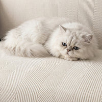Spill-Resistant Sofa Slipcover