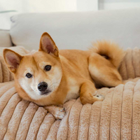 Fluffy Bolster Dog Couch Cover & Sofa Blanket