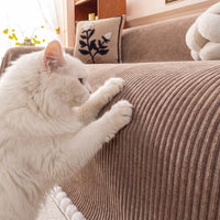 SoftTouch Chenille Sofa Cover
