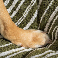 Striped Pet Sofa Bed