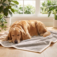 Ice Silk Cooling Blanket Throw
