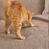 Herringbone Velvet Spill-Resistant Chenille Sofa Cover