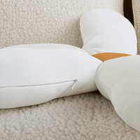 Daisy Delights Sofa Pillow