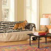 Pet Claw & Stain Resistant Cheetah Chic Sofa Cover