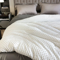 Winter Plush Dot Massage Comforter