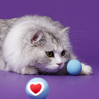 Rolling Heart Pet Ball