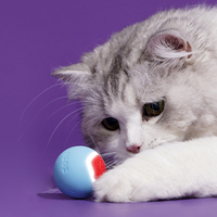 Rolling Heart Pet Ball