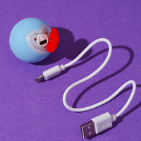 Rolling Heart Pet Ball