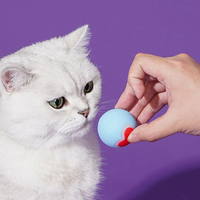 Rolling Heart Pet Ball
