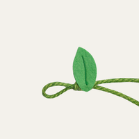 Tropical Fruit Cat Toys
