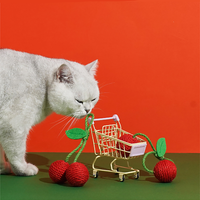Tropical Fruit Cat Toys