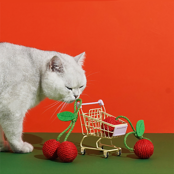 Tropical Fruit Cat Toys