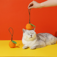 Tropical Fruit Cat Toys